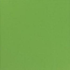 Плитка напольная, Aleluia Ceramicas Match Verde P343R  32.7 × 32.7 см