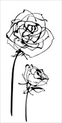 Плитка Halcon Blancos Декор Decor Roses Blanco доступные цены. Купить плитку Halcon Blancos Декор Decor Roses Blanco