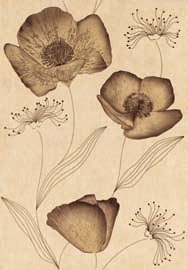 Плитка Azulindus & Marti Siena Floral Crema