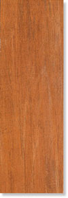 Плитка Halcon Forest Керамогранит глазурованный Autumn Maple доступные цены. Купить плитку Halcon Forest Керамогранит глазурованный Autumn Maple