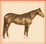 Декор Decor Pegaso Marfil 20*20 см