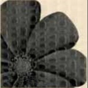 Декор Decoro M2 Davis 20x20 см