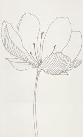 Viva Ceramica  Gotha Dream A Plume 25х60 см