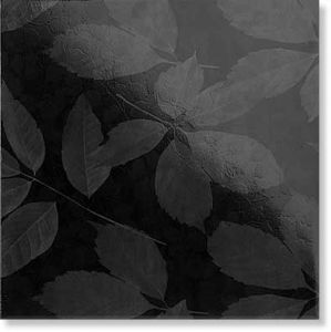 Плитка Уэльс черный 30,2x30,2 см