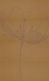 Viva Ceramica  Gotha 255D4RD DREAM A KAKI 100x60 см