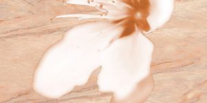 Декор Реноме Цветы 25х50 см (панно 2ч)