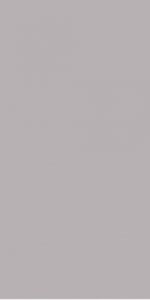 Настенная плитка Fcb R3060 Grey  30 x 60 см