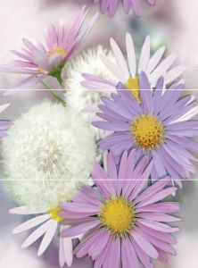 Панно  Ibiza Dec. Sophie-3 81x60 см