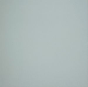 Напольная плитка 429 Turquesa 40,8х40,8 см