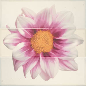 Декор Composicion 7000 Chloe Blanco 75х75 см