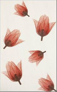 Плитка Polcolorit Tango DN-TANGO RO TUL