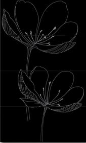 Viva Ceramica  Gotha 255D9RE Dream B Black 25х60 см