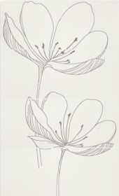 Viva Ceramica  Gotha Dream B Plume 25х60 см