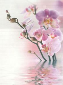 Декор Energy Capri-3 Панно (из 3х пл.)