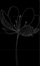 Viva Ceramica Gotha DREAM A BLACK 25х60 см