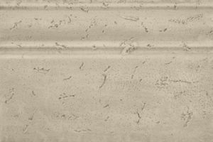 Плитка Halcon Grand Benidorm Бордюр Zocalo Grand Savanna доступные цены. Купить плитку Halcon Grand Benidorm Бордюр Zocalo Grand Savanna