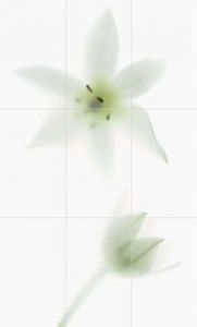 Viva Ceramica  Floranova TD9/002 NOVAGREY COMP B/9  94.5x156 см