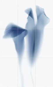 Viva Ceramica  Floranova TD9/006 NOVABLUE COMP F/9 94.5x156 см