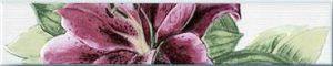 Бордюр Orquidea С-25