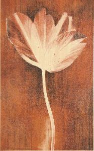 Плитка Polcolorit Prada DN-PRADA BE KW A