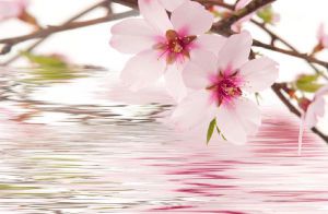 Декор Stein-2 Space Панно (из 2х пл.)