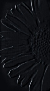 Декор D-Sunflower Black 32,7x59,3 см